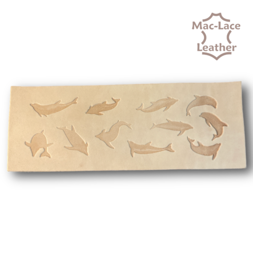 EMBOSSED WALLET BACK Dolphins