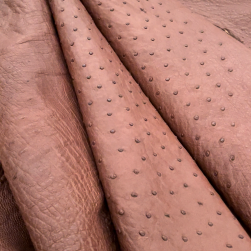 Brown Ostrich Leather Hides by Mac-Lace Leather in QLD