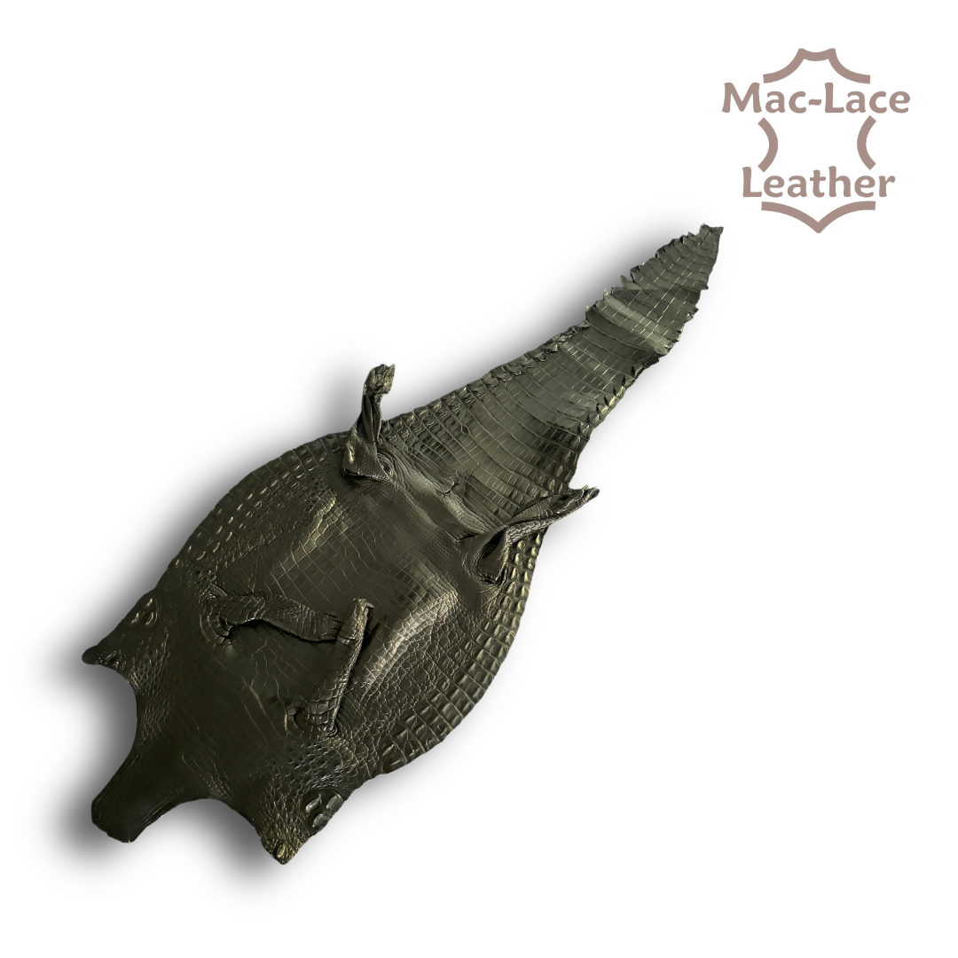 Black Crocodile Belly