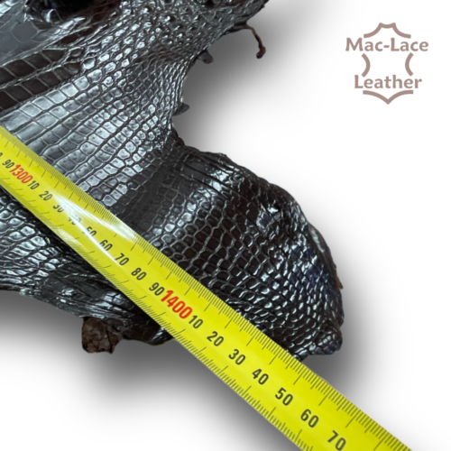 Crocodile Belly Sizes