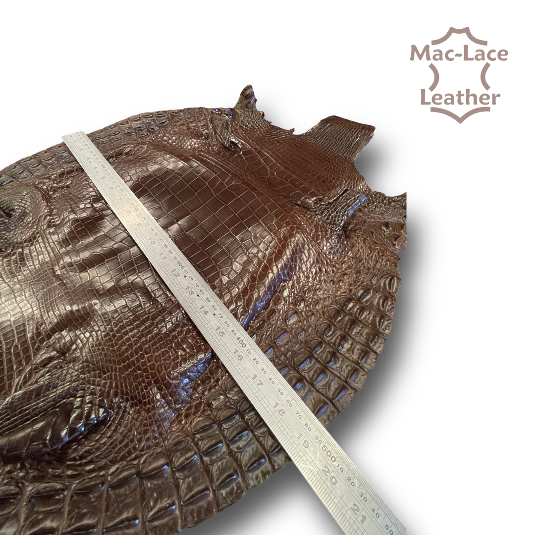 Genuine Crocodile Belly Leather