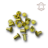 10mm Brass-Platted Chicago Screws in Pack of 10