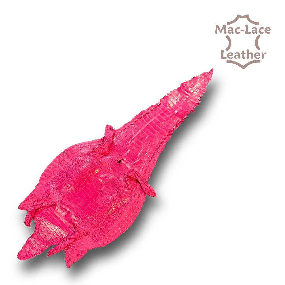 Pink Crocodile Belly