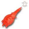 Red Crocodile Belly