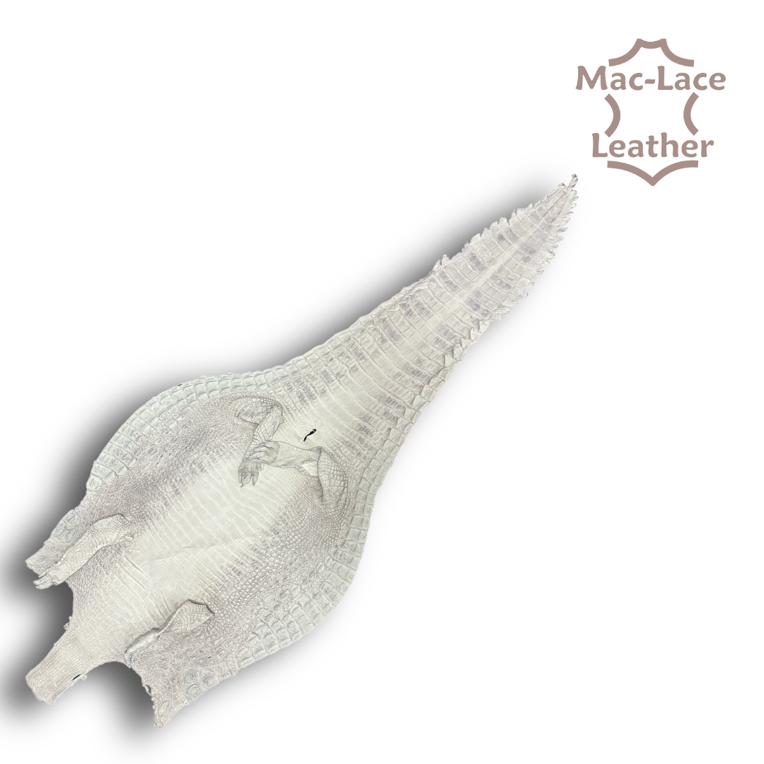 White Natural Crocodile Belly