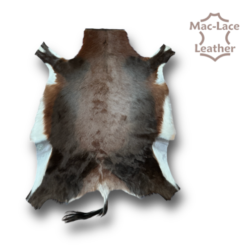 Quality Blesbok Floor rugs